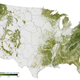 Image for article titled Want to See Every Tree in America?